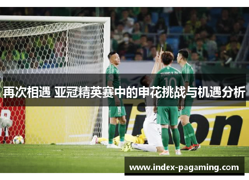 再次相遇 亚冠精英赛中的申花挑战与机遇分析
