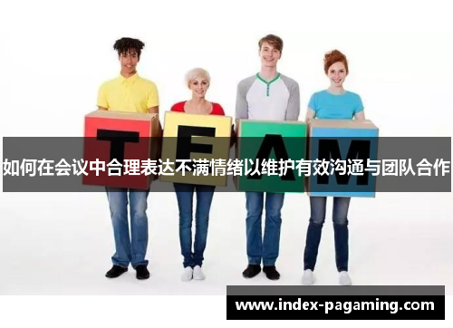 如何在会议中合理表达不满情绪以维护有效沟通与团队合作