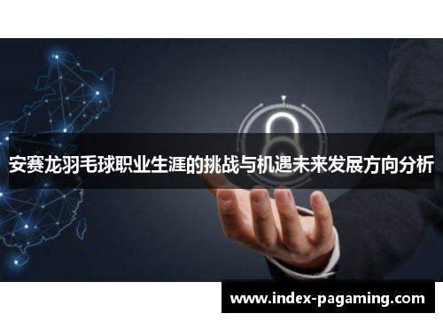 安赛龙羽毛球职业生涯的挑战与机遇未来发展方向分析