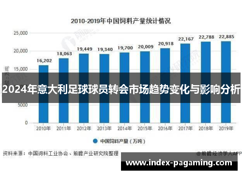 2024年意大利足球球员转会市场趋势变化与影响分析