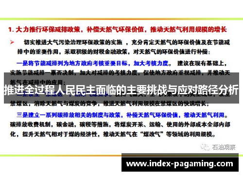 推进全过程人民民主面临的主要挑战与应对路径分析