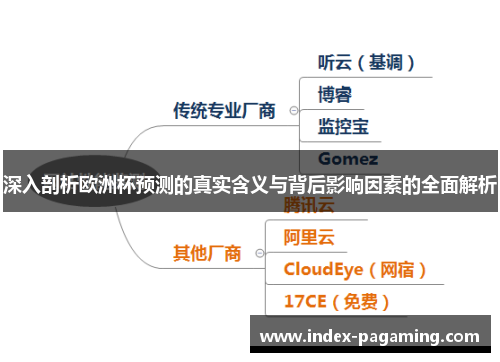 深入剖析欧洲杯预测的真实含义与背后影响因素的全面解析