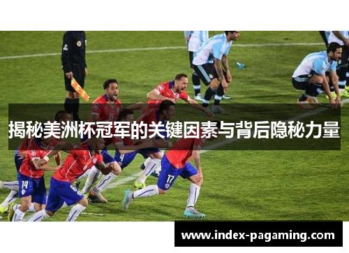 揭秘美洲杯冠军的关键因素与背后隐秘力量 揭秘美洲杯冠军的关键因素与背后隐秘力量