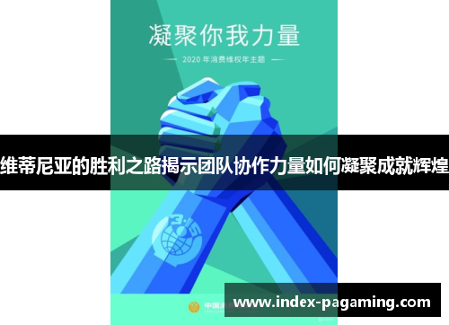 维蒂尼亚的胜利之路揭示团队协作力量如何凝聚成就辉煌