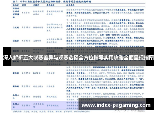 深入解析五大联赛差异与观赛选择全方位指导实用攻略全面呈现指南 深入解析五大联赛差异与观赛选择全方位指导实用攻略全面呈现指南