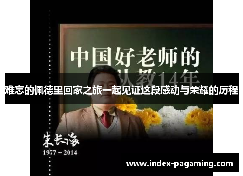 难忘的佩德里回家之旅一起见证这段感动与荣耀的历程 难忘的佩德里回家之旅一起见证这段感动与荣耀的历程