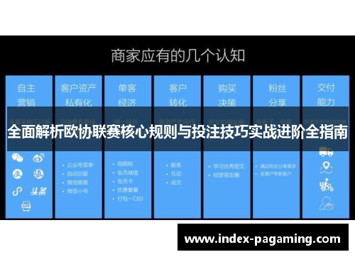 全面解析欧协联赛核心规则与投注技巧实战进阶全指南