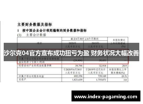 沙尔克04官方宣布成功扭亏为盈 财务状况大幅改善
