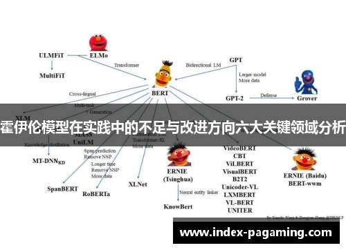 霍伊伦模型在实践中的不足与改进方向六大关键领域分析