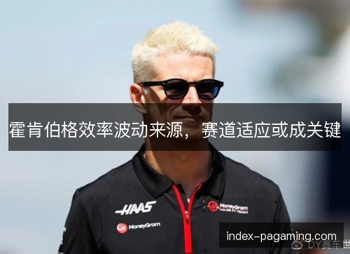 霍肯伯格效率波动来源，赛道适应或成关键